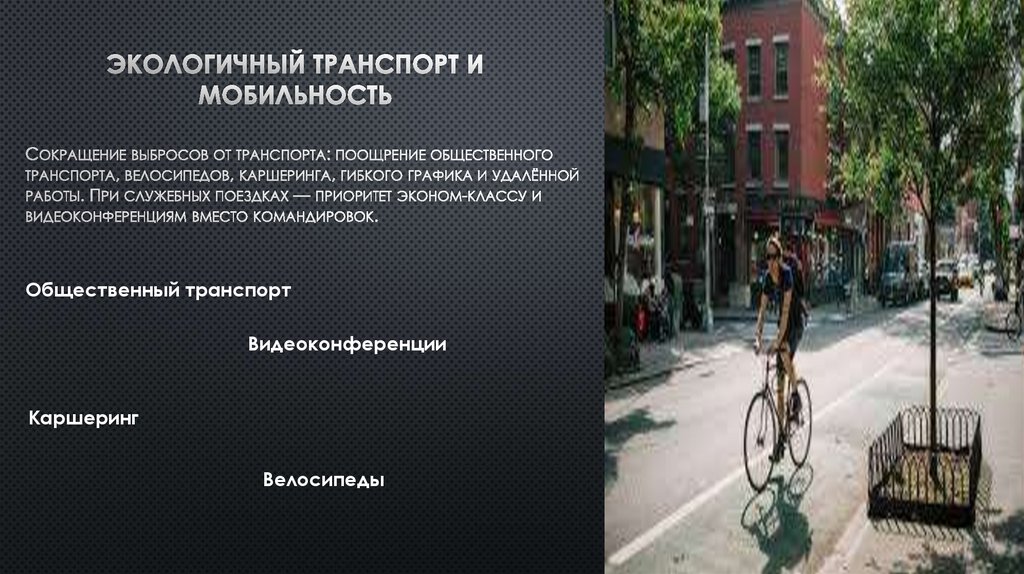 Экологичный транспорт и мобильность