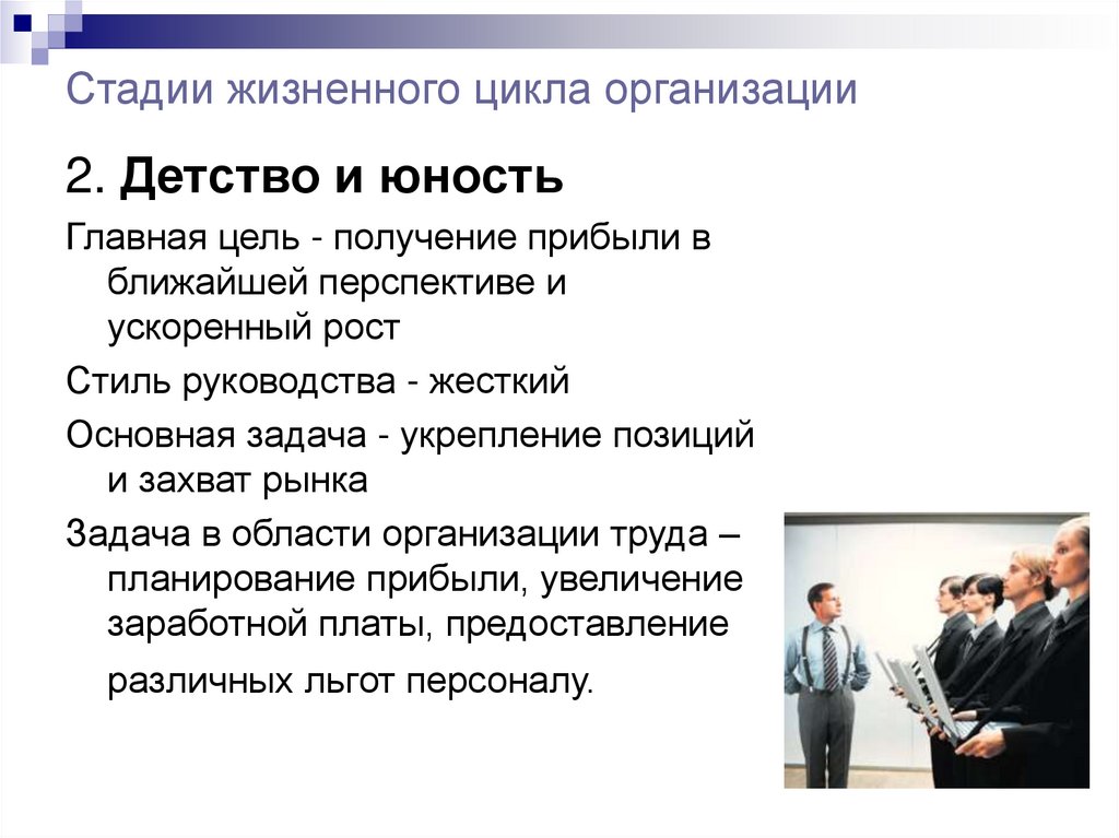 Стадии жизненного цикла организации