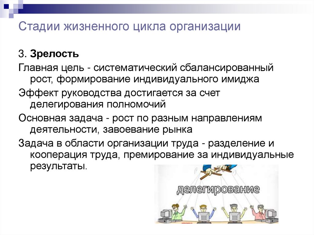 Стадии жизненного цикла организации