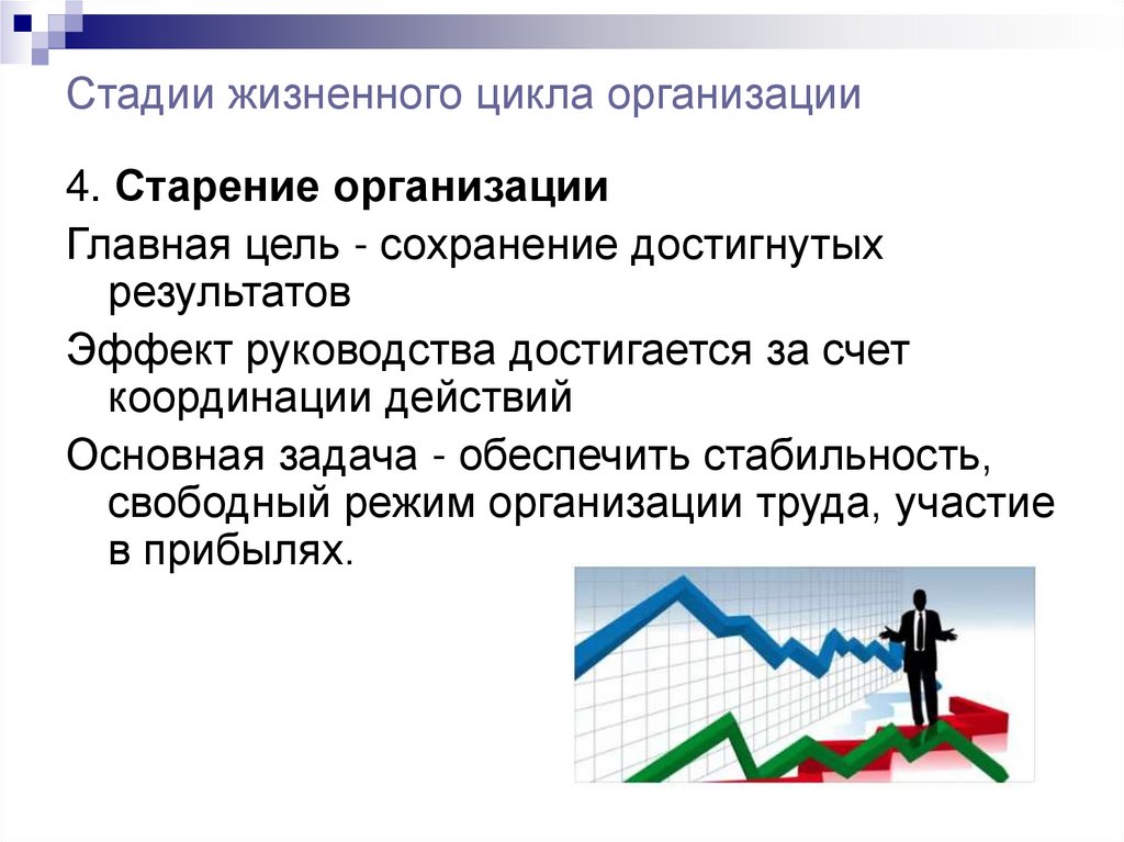 Стадии жизненного цикла организации