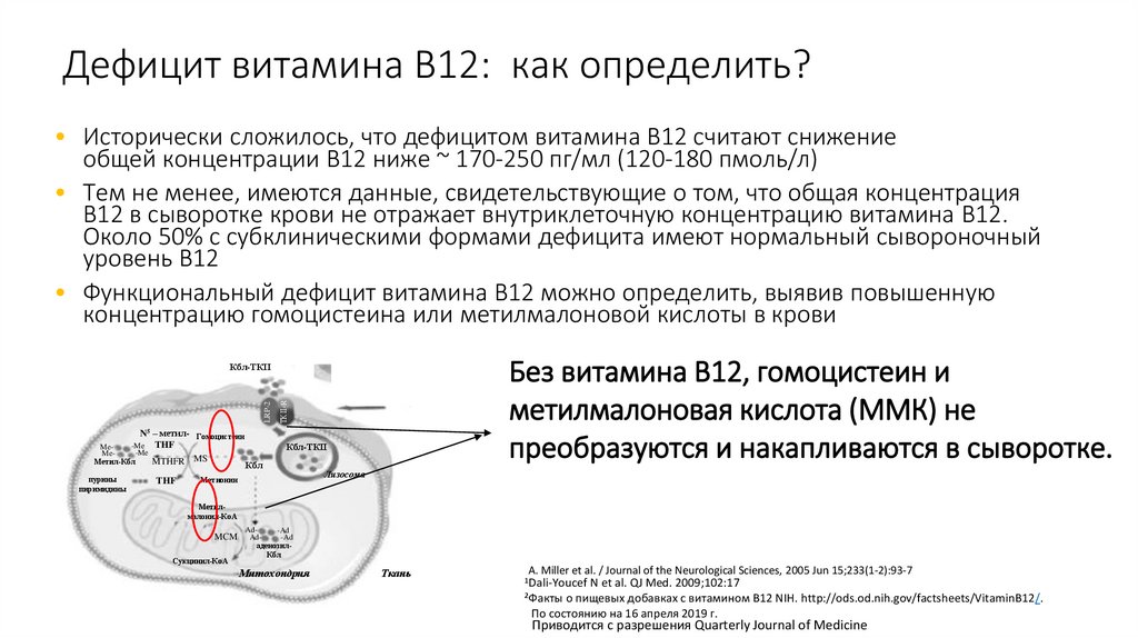 Дефицит витамина B12: как определить?