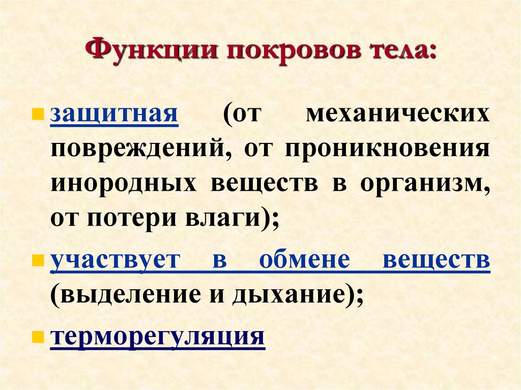 Функции покровов тела: