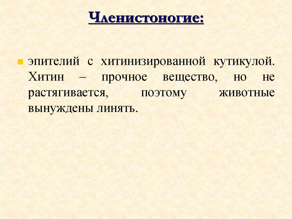 Членистоногие: