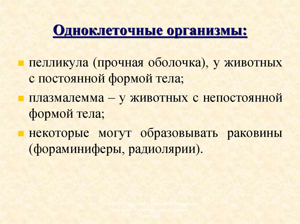 Одноклеточные организмы: