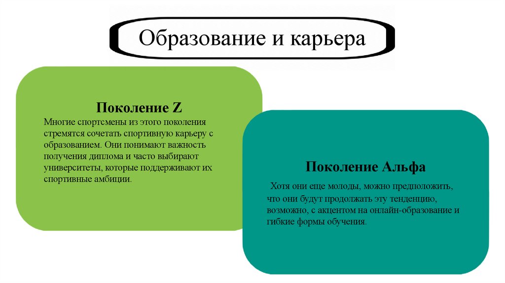 Образование и карьера