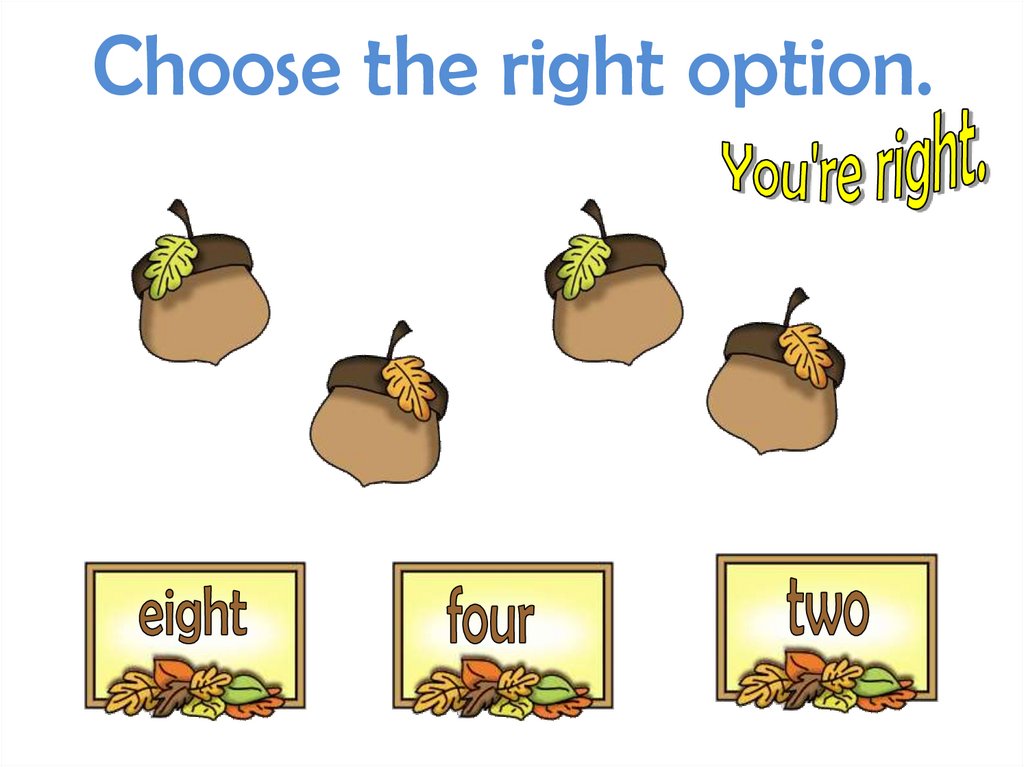 Choose the right option.