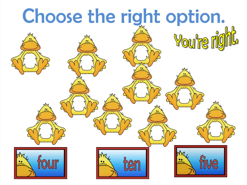 Choose the right option.