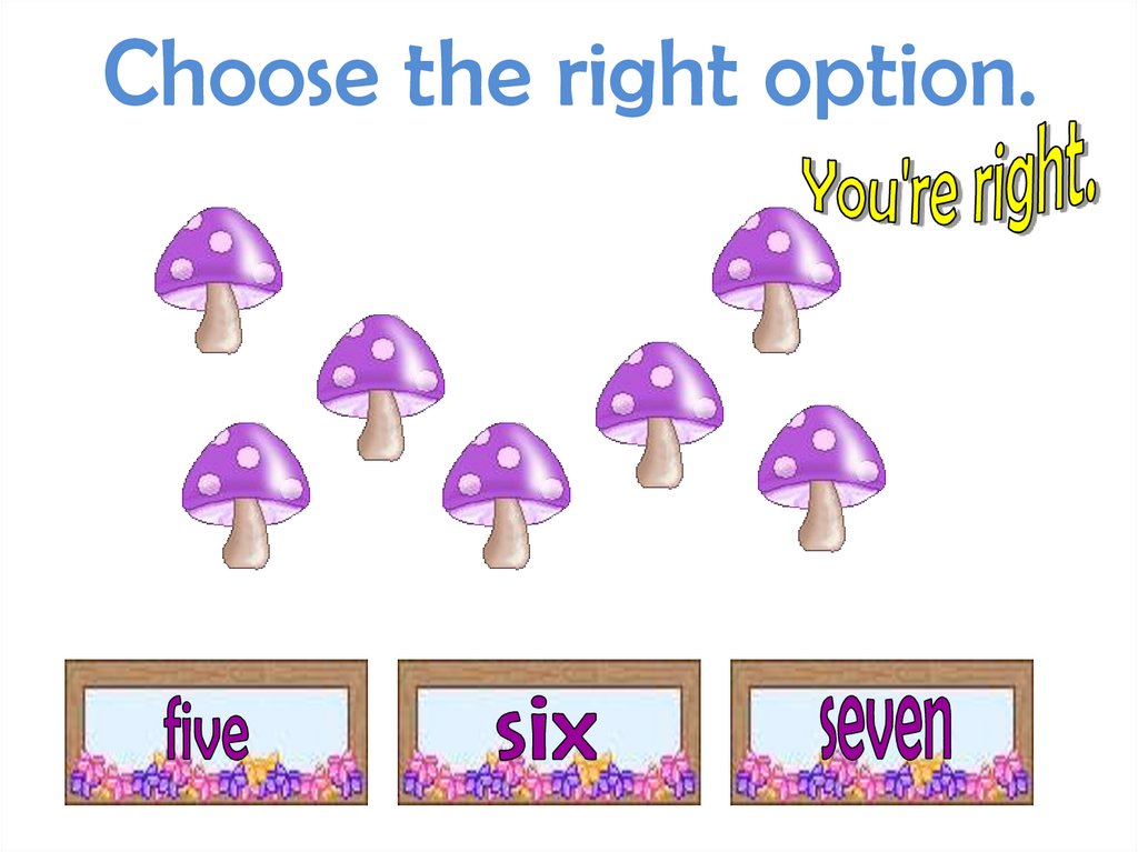 Choose the right option.
