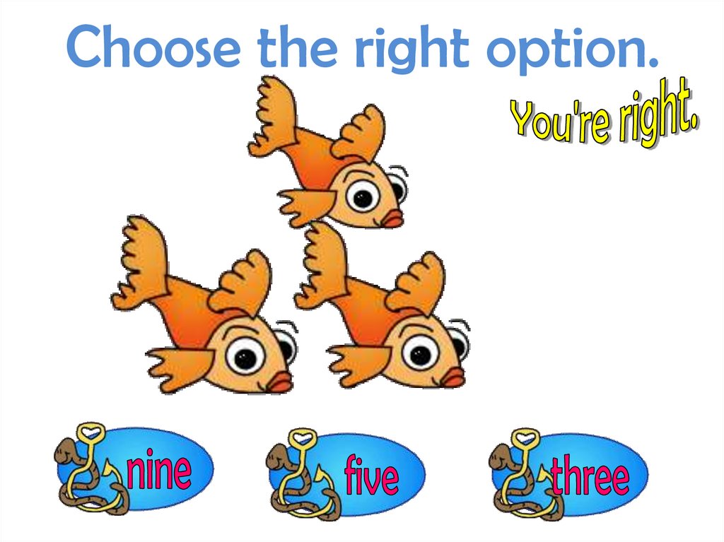 Choose the right option.