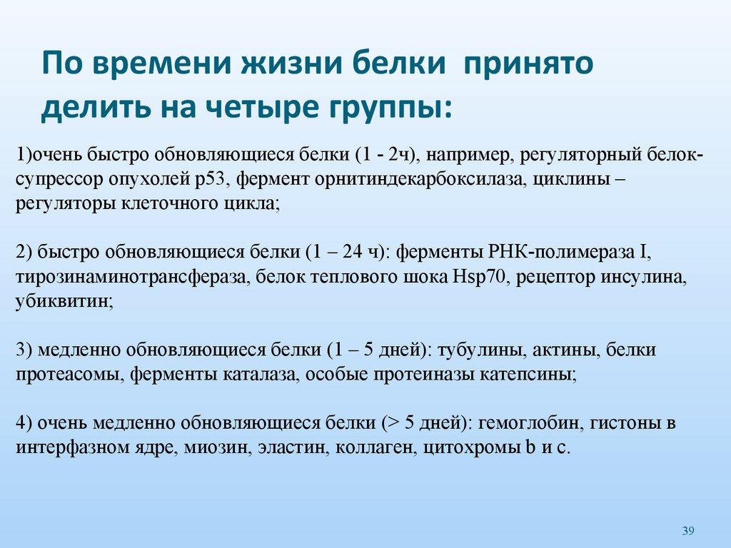 По времени жизни белки принято делить на четыре группы: