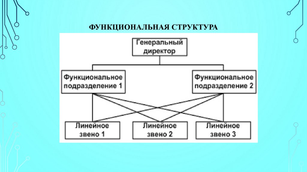 Функциональная структура