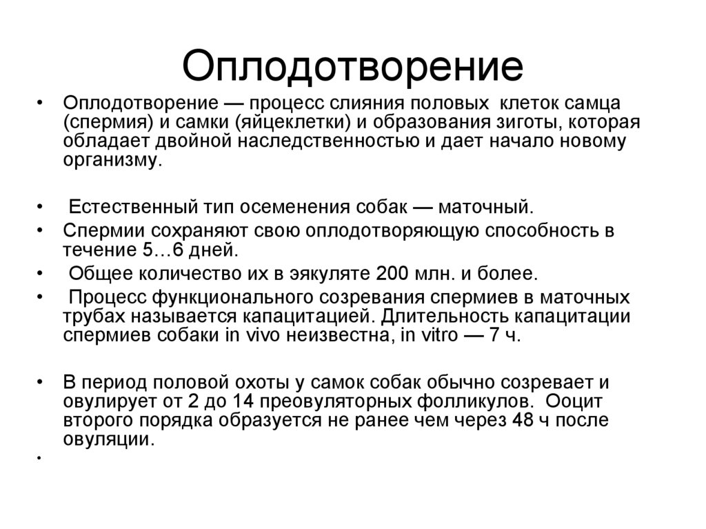 Оплодотворение