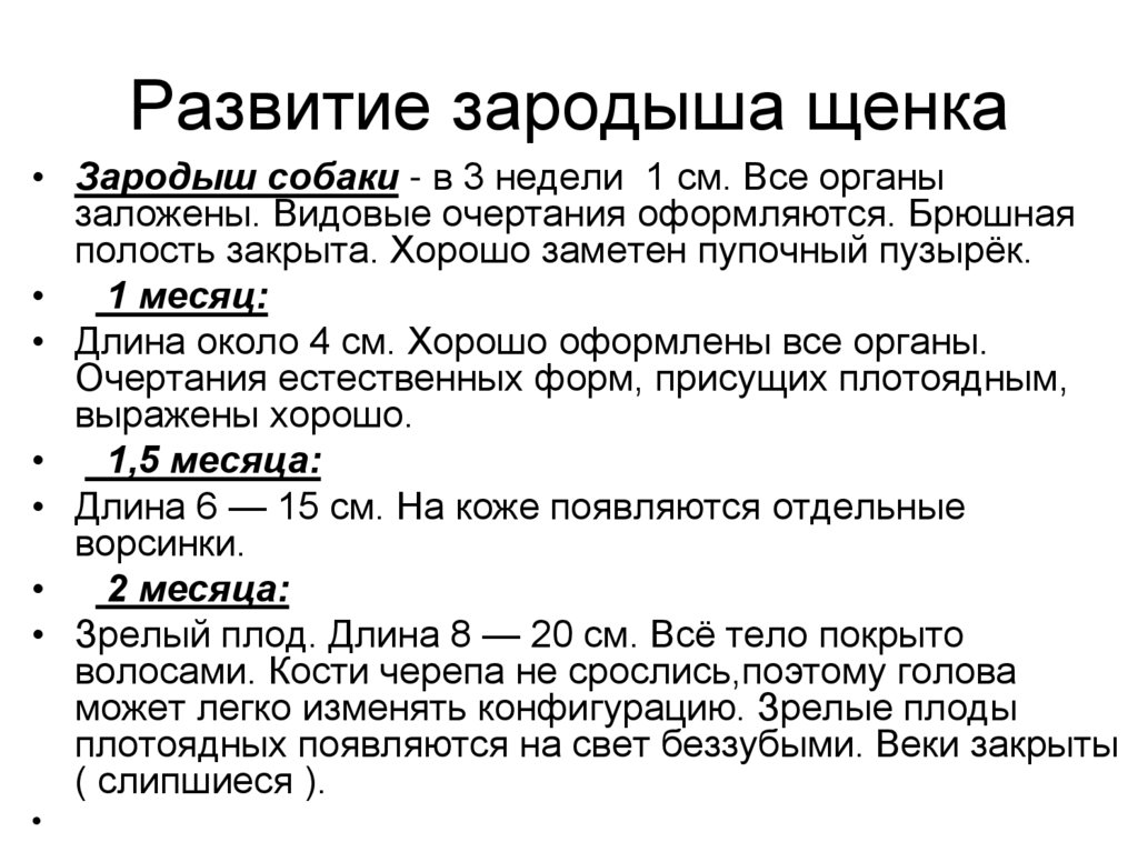 Развитие зародыша щенка