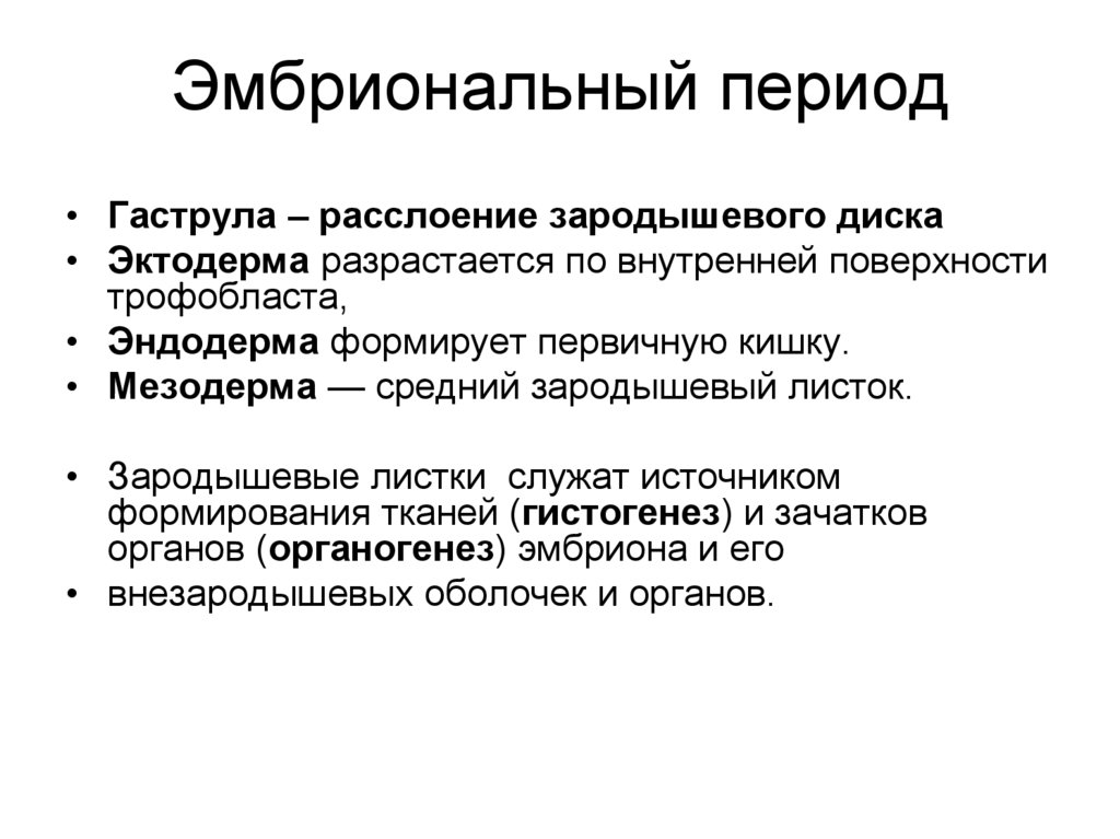 Эмбриональный период