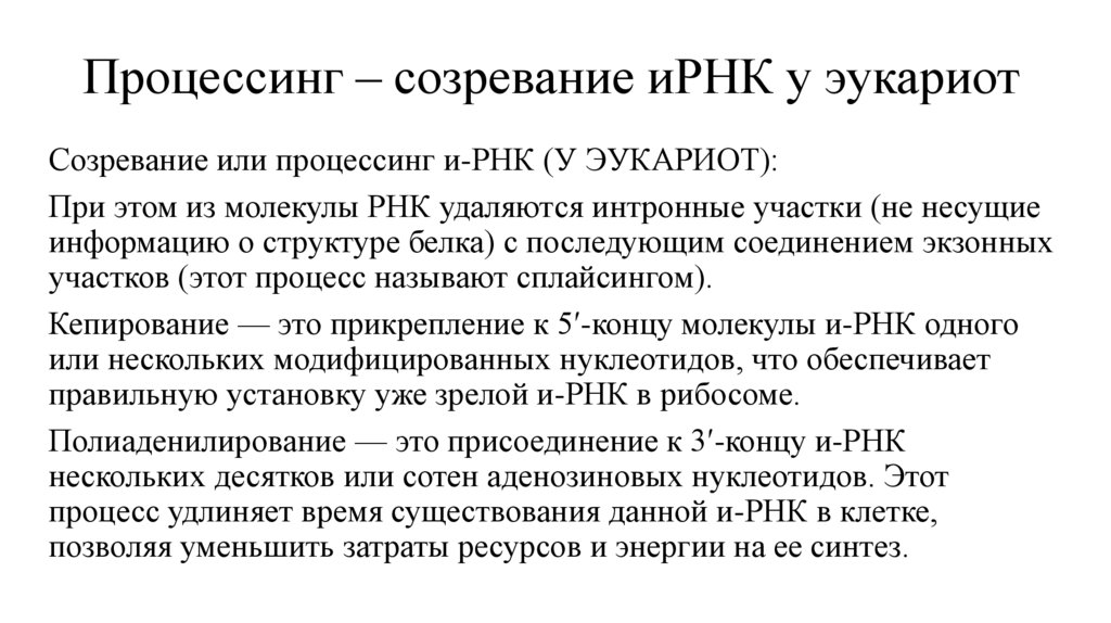 Процессинг – созревание иРНК у эукариот