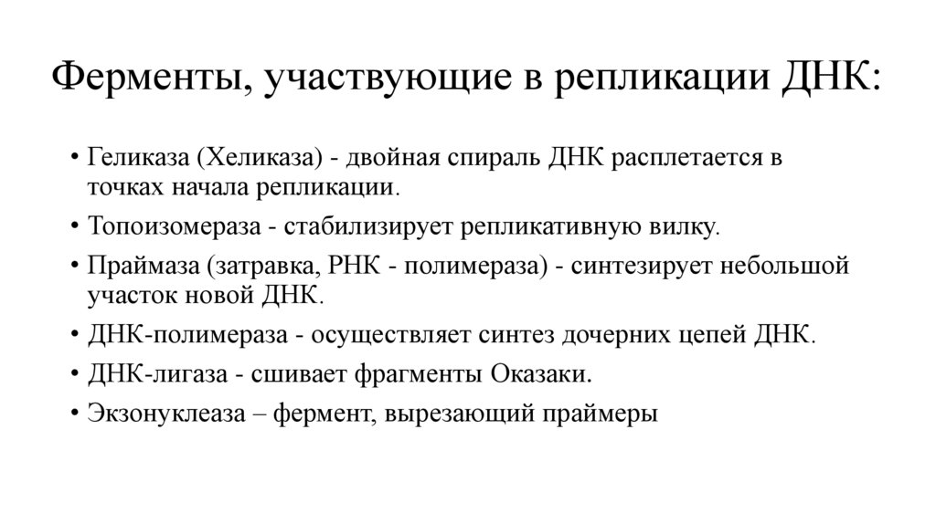 Ферменты, участвующие в репликации ДНК: