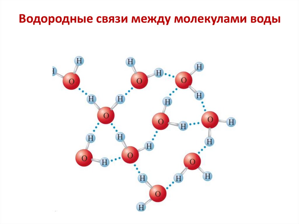 Водородные связи между молекулами воды