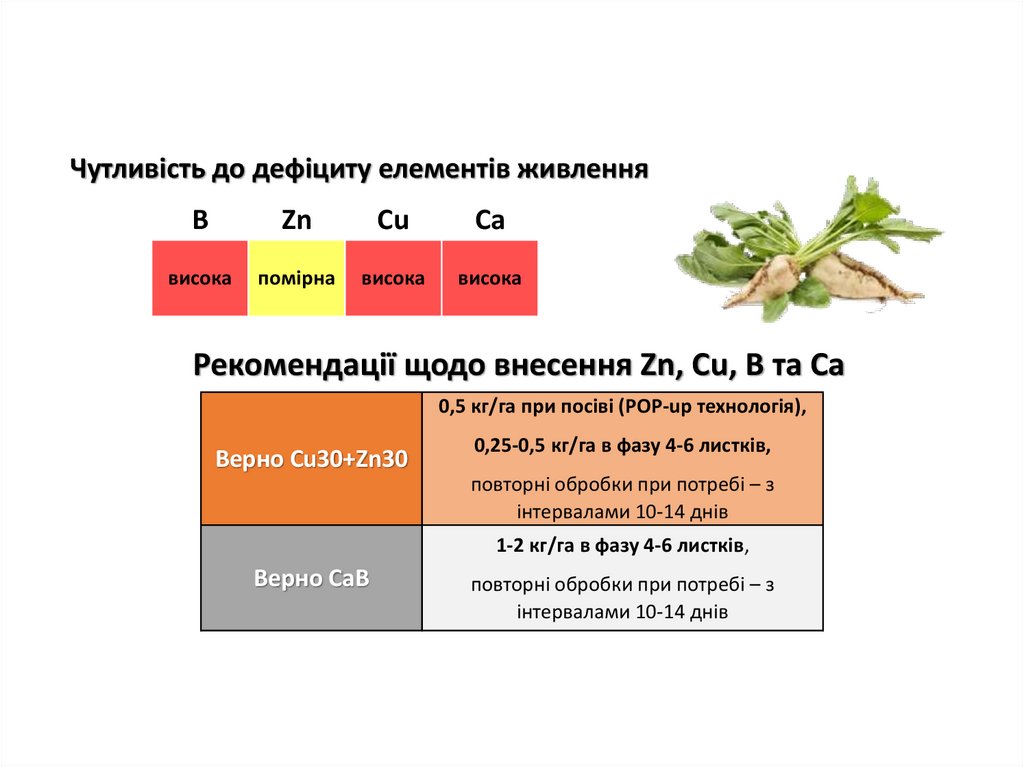 Рекомендації щодо внесення Zn, Cu, B та Ca