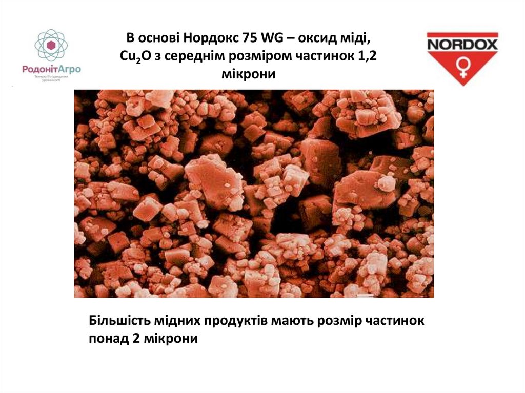 В основі Нордокс 75 WG – оксид міді, Cu2O з середнім розміром частинок 1,2 мікрони