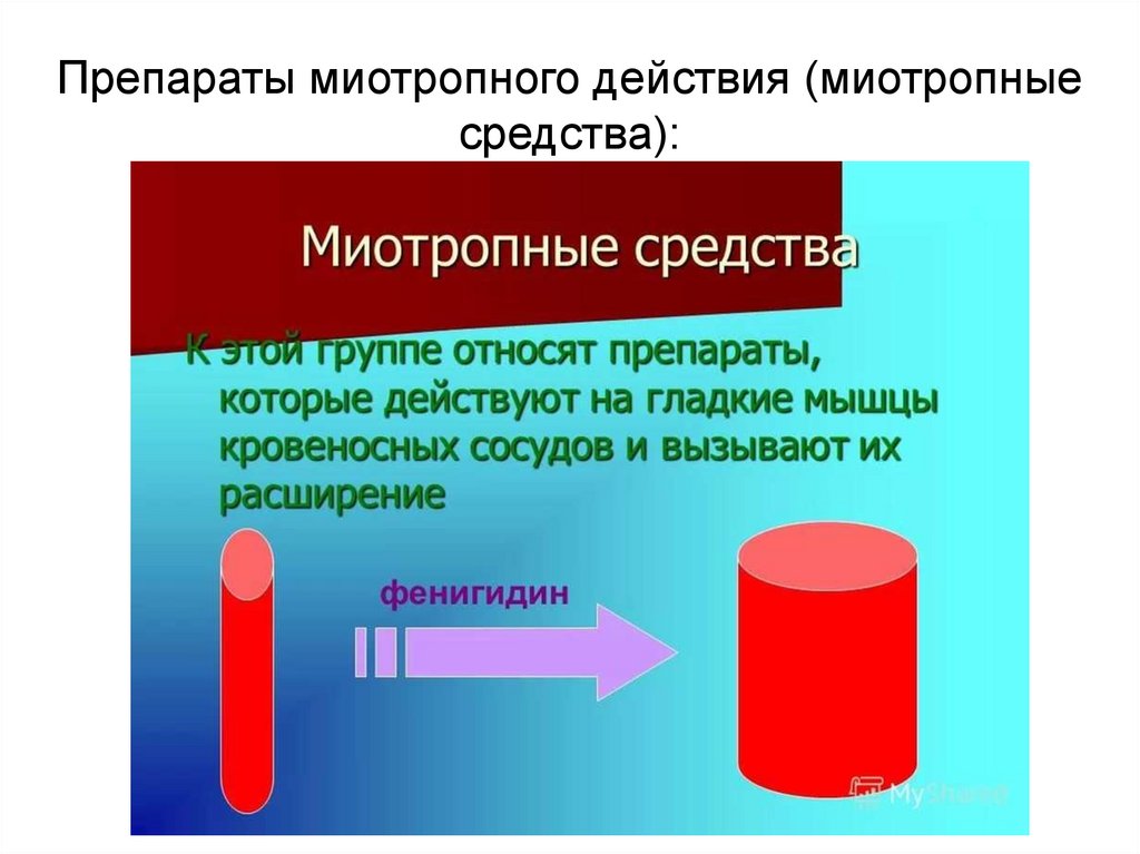 Препараты миотропного действия (миотропные средства):