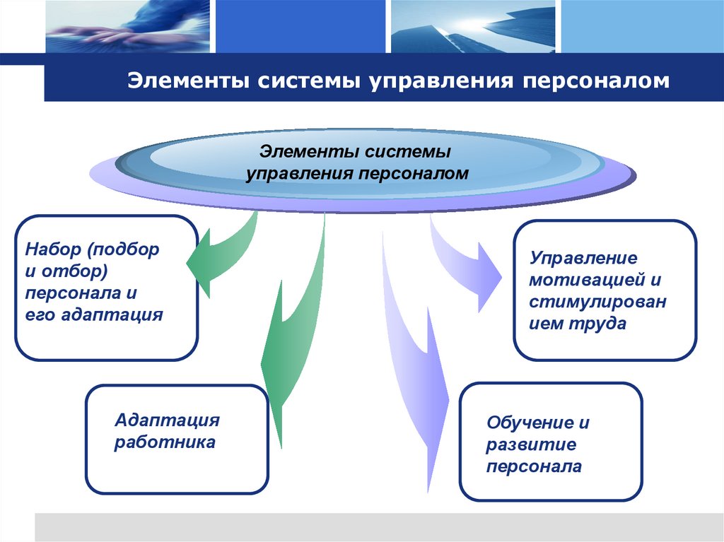 Элементы системы управления персоналом