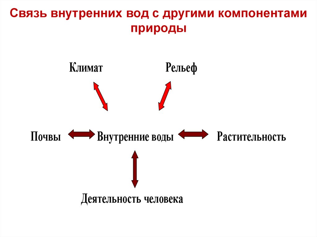 Связь внутренних вод с другими компонентами природы