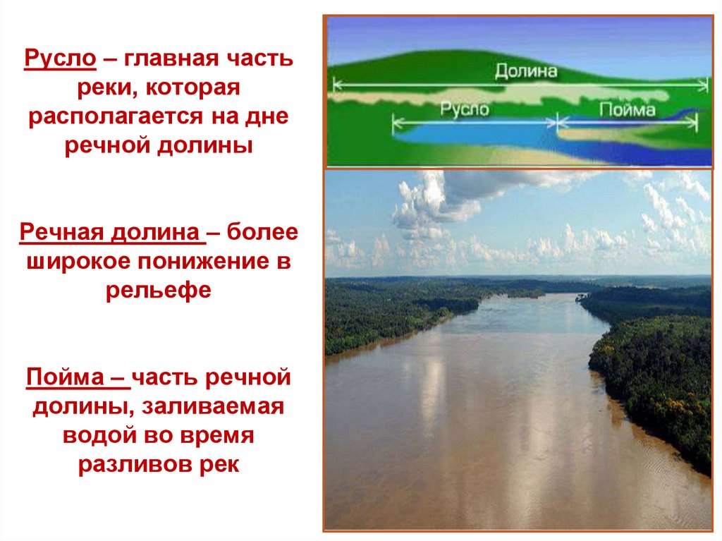 Русло – главная часть реки, которая располагается на дне речной долины Речная долина – более широкое понижение в рельефе Пойма