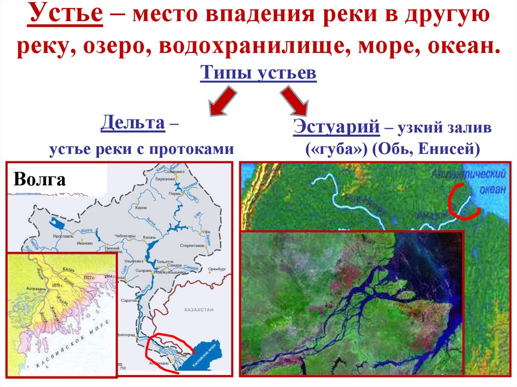 Устье – место впадения реки в другую реку, озеро, водохранилище, море, океан. Типы устьев