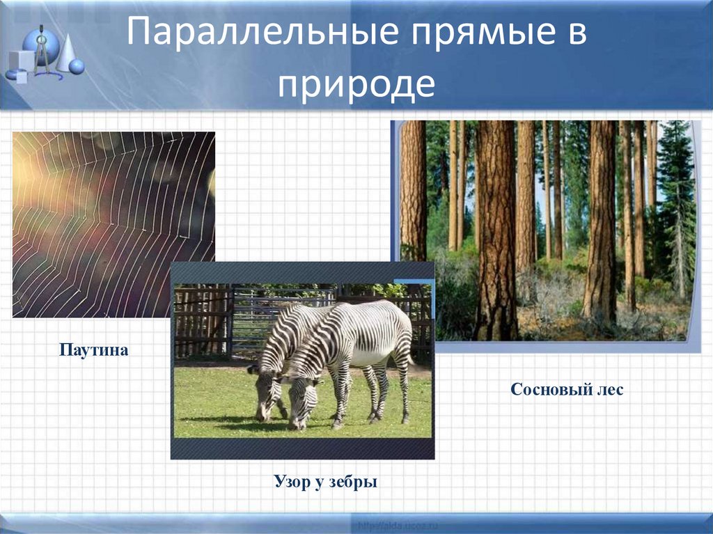 Параллельные прямые в природе