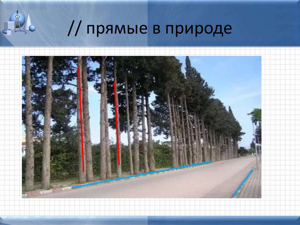 // прямые в природе