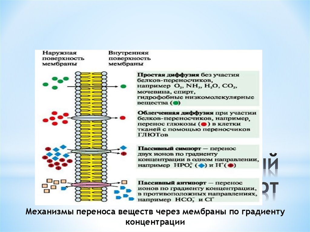 Пассивный транспорт