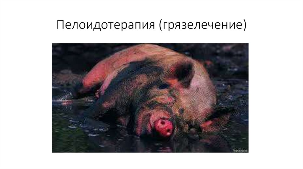 Пелоидотерапия (грязелечение)