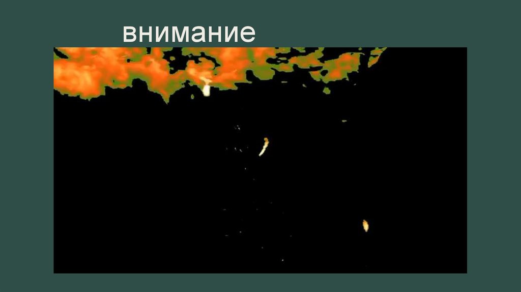 Спасибо за внимание