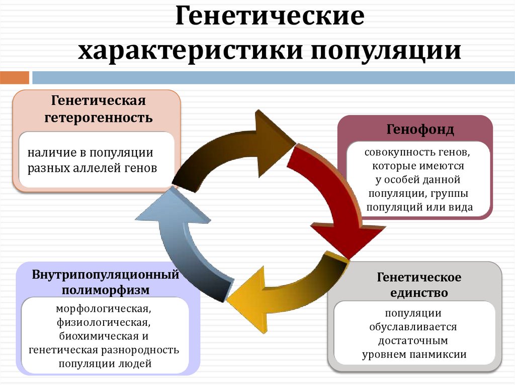 Генетические характеристики популяции