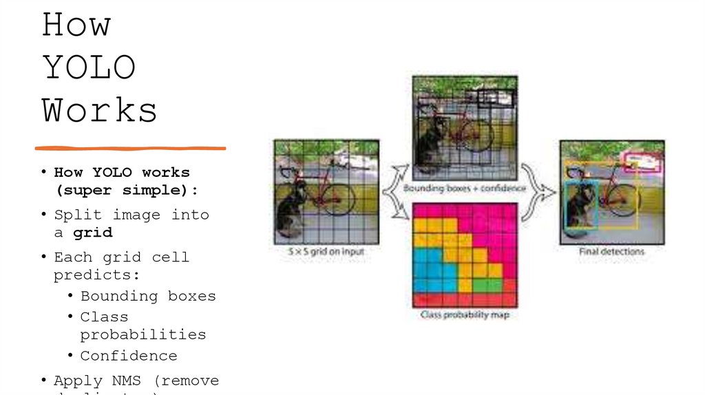How YOLO Works