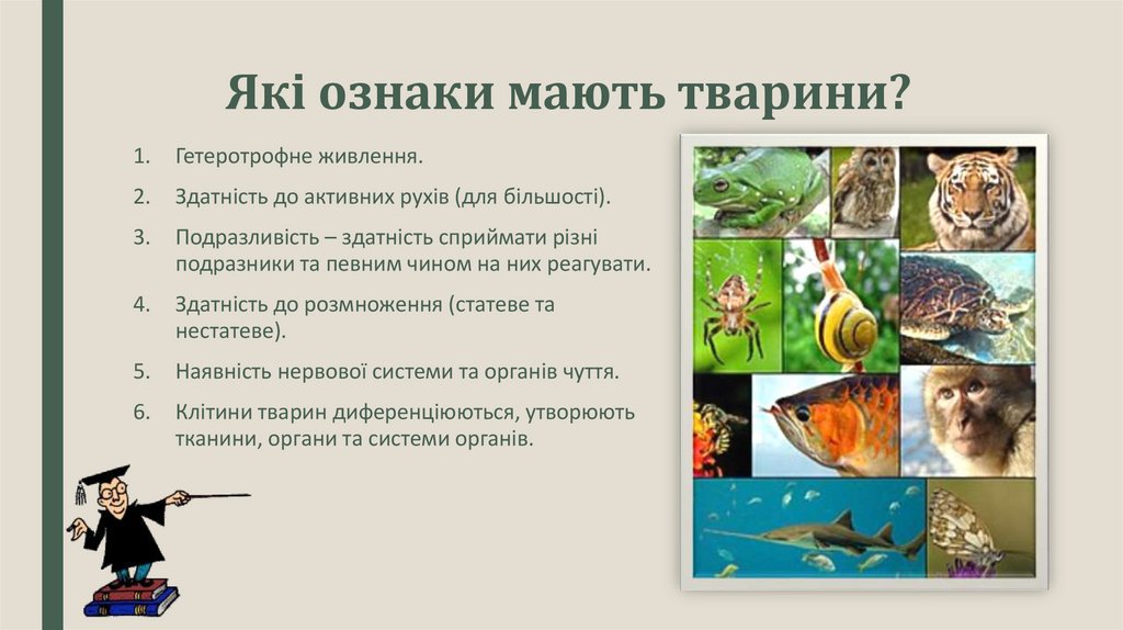 Які ознаки мають тварини?