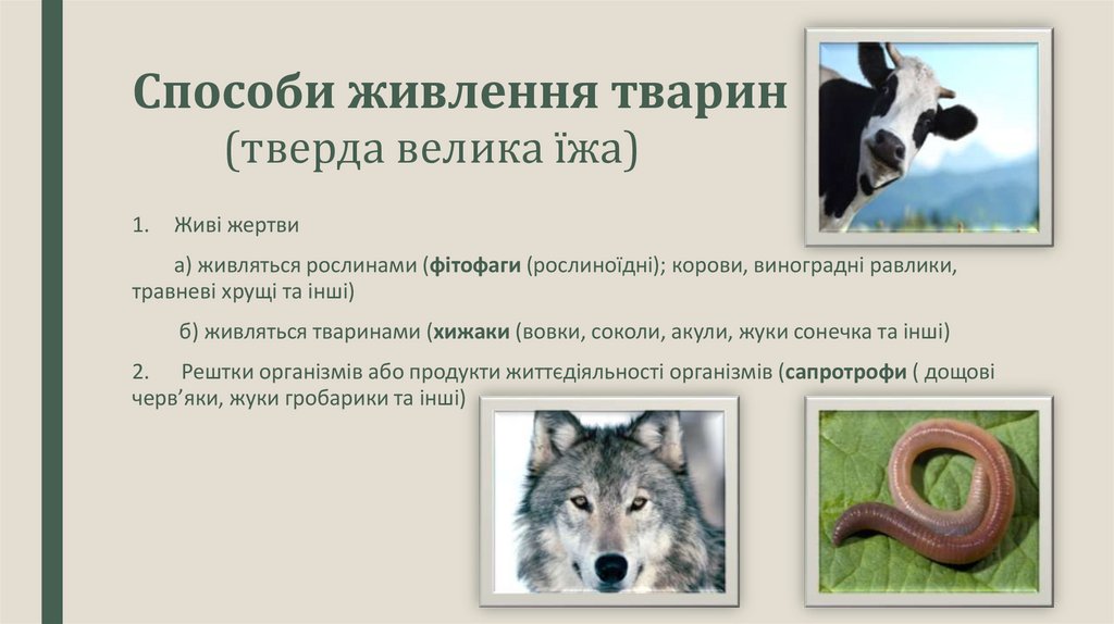 Способи живлення тварин (тверда велика їжа)