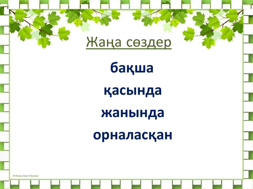 Жаңа сөздер