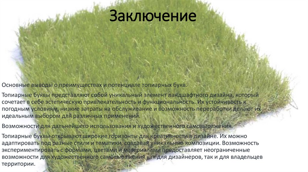 Заключение