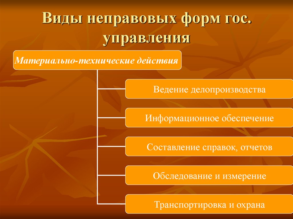 Виды неправовых форм гос. управления