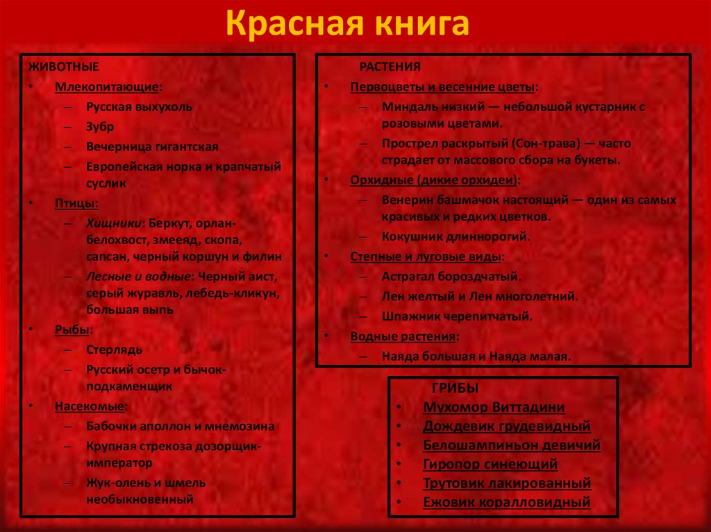 Красная книга