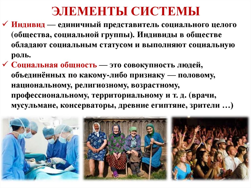 ЭЛЕМЕНТЫ СИСТЕМЫ
