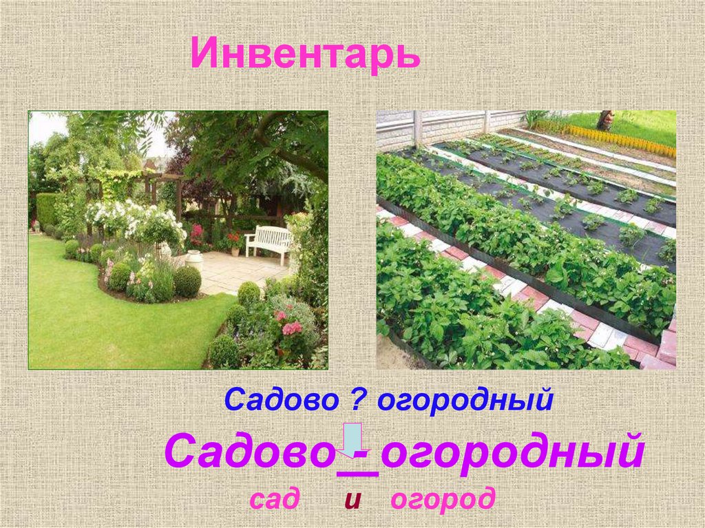 Инвентарь