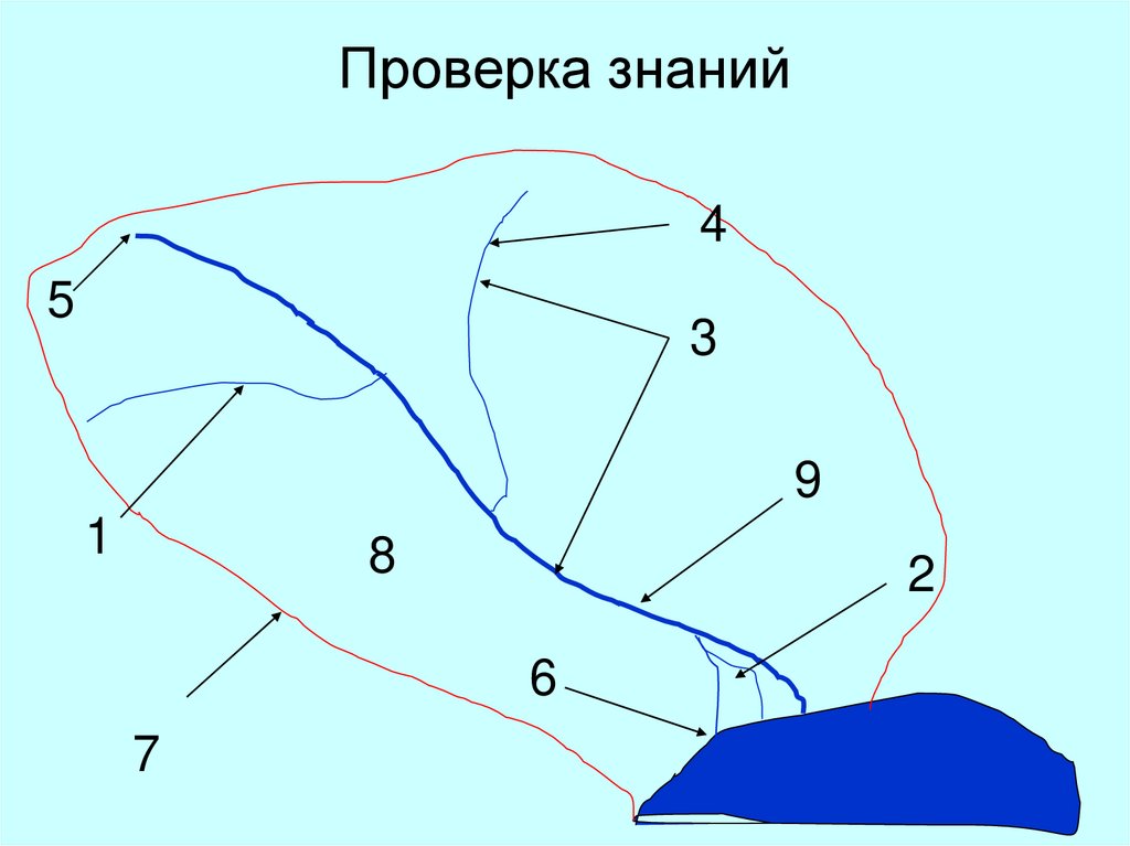 Проверка знаний