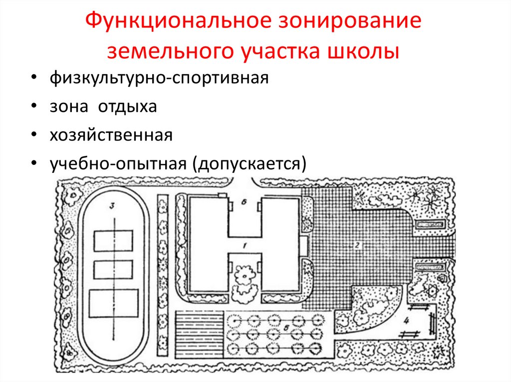 Функциональное зонирование земельного участка школы