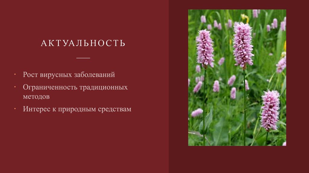 Актуальность