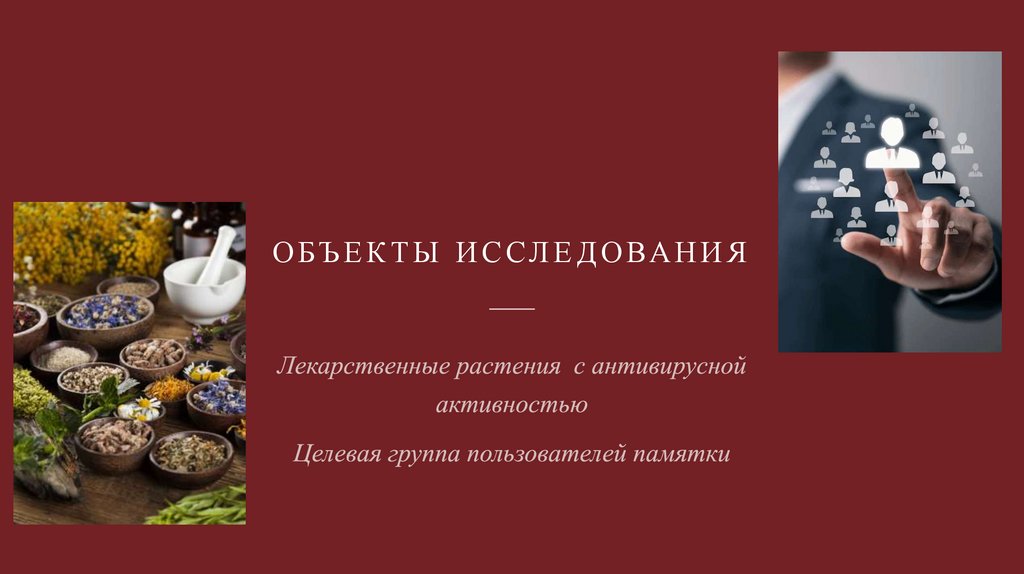 Объекты исследования