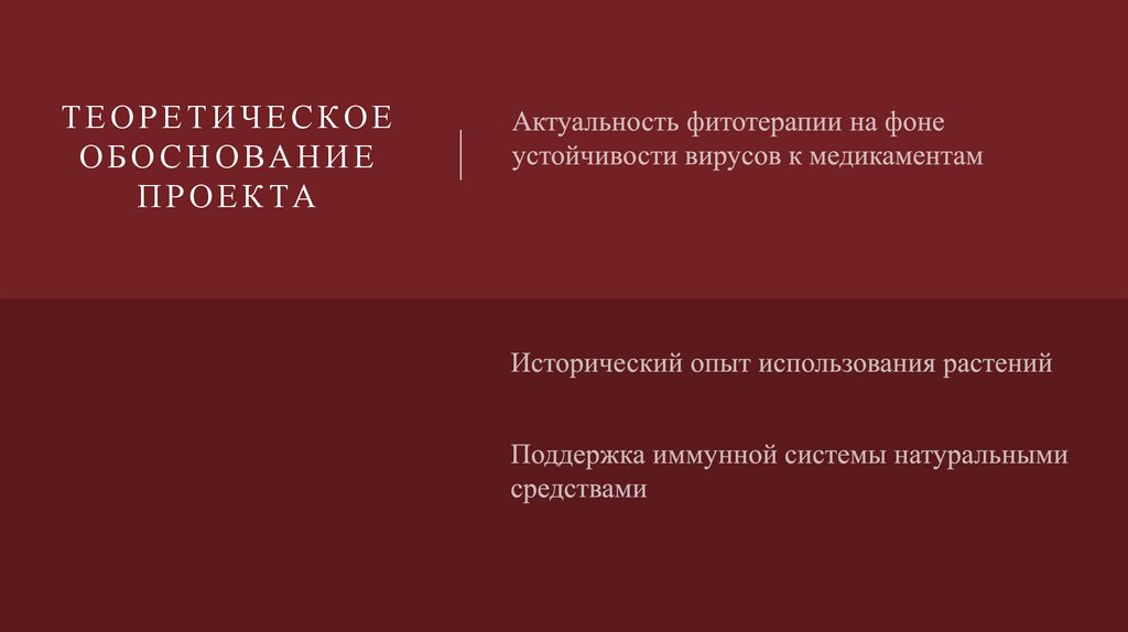 Теоретическое обоснование проекта
