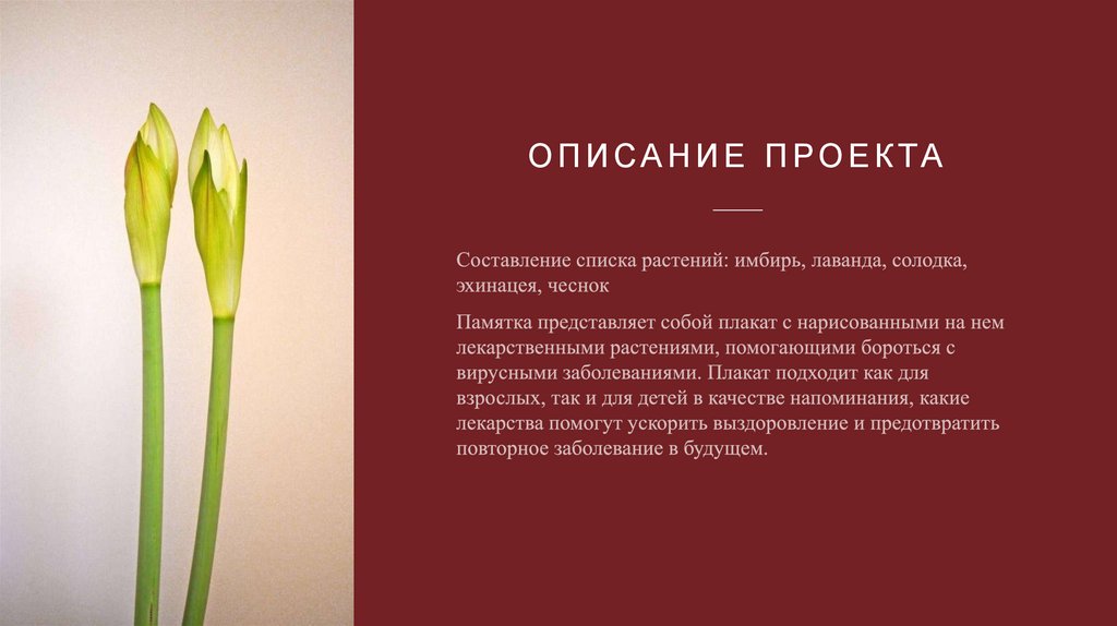 Описание проекта