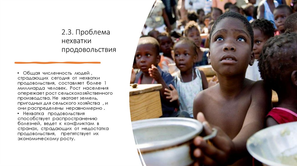 2.3. Проблема нехватки продовольствия